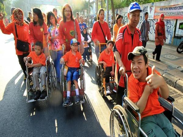 Disabilitas – Penyebab, Jenis, dan Penanganannya (Bagian Satu)